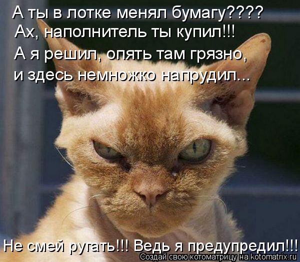 А ты в лотке менял бумагу???? Ах, наполнитель ты купил!!! А я решил, опять там грязно, и здесь немнож... Котоматрица: А ты в лотке менял бумагу???? Ах, наполнитель ты купил!!! А я решил, опять там грязно, и здесь немножко напрудил... Не смей ругать!!! Ведь я предупр