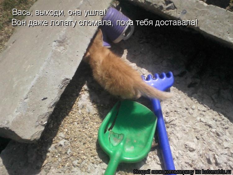 Котоматрица: Вась, выходи, она ушла! Вон даже лопату сломала, пока тебя доставала!