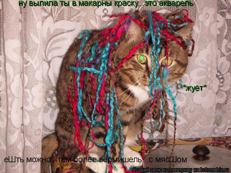 Котоматрица: ну вылила ты в макарны краску...это акварель *жуёт* еШть можно...тем более вермишель...с мясШом