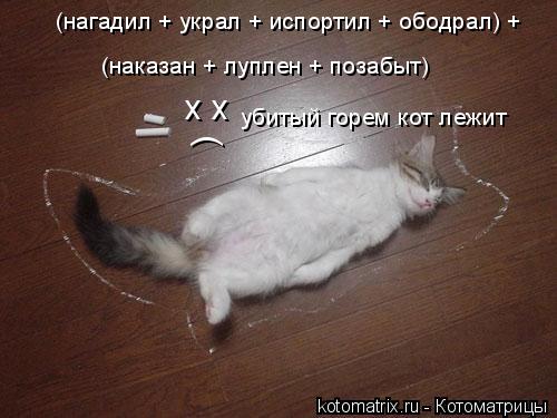 Котоматрица: х х ( (наказан + луплен + позабыт) (нагадил + украл + испортил + ободрал) + убитый горем кот лежит