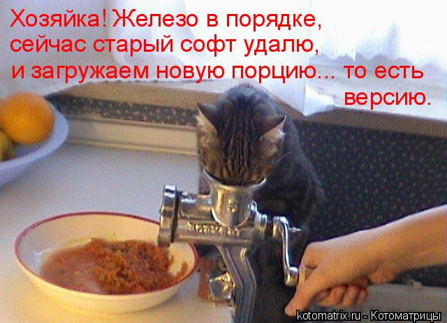 Котоматрица: Хозяйка! Железо в порядке, сейчас старый софт удалю, и загружаем новую порцию... то есть версию.