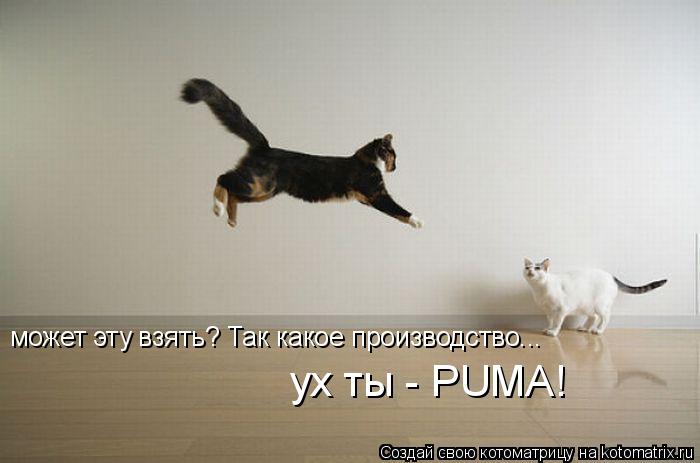 Котоматрица: может эту взять? Так какое производство... может эту взять? Так какое производство... О - PUMA ух ты - PUMA!