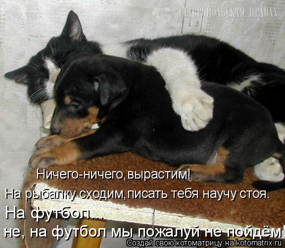Котоматрица: Ничего-ничего,вырастим! На рыбалку сходим,писать тебя научу стоя. На футбол... не, на футбол мы пожалуй не пойдём!
