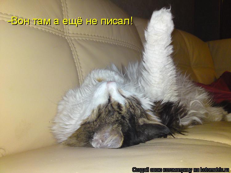 Котоматрица: -Вон там а ещё не писал!