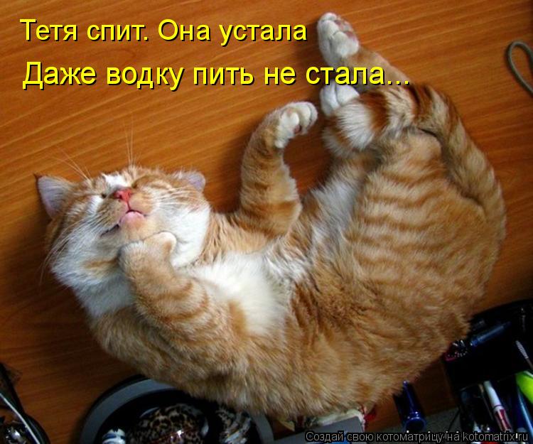 Котоматрица: Тетя спит. Она устала Даже водку пить не стала...