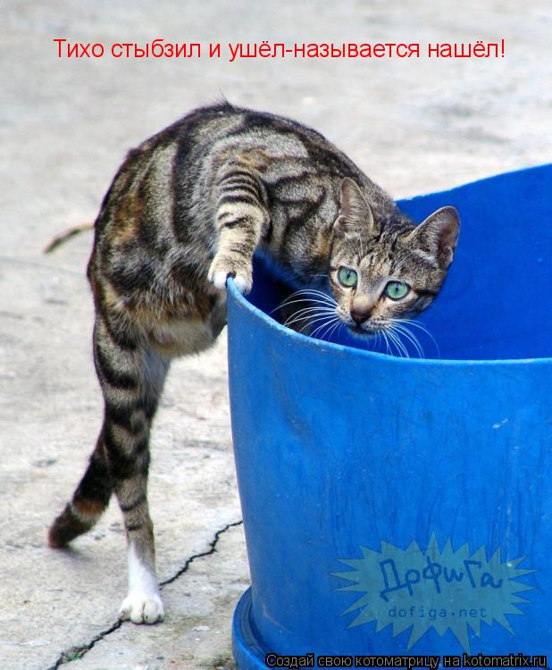 Котоматрица: Тихо стыбзил и ушёл-называется нашёл!