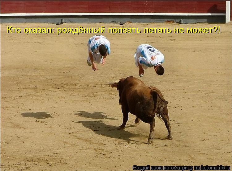 Кто сказал: рождённый ползать летать не может?!... Котоматрица: Кто сказал: рождённый ползать летать не может?!