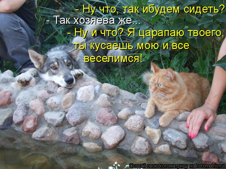 - Ну что, так ибудем сидеть? - Так хозяева же... - Ну и что? Я царапаю твоего, ты кусаешь мою и все в... Котоматрица: - Ну что, так ибудем сидеть? - Так хозяева же... - Ну и что? Я царапаю твоего, ты кусаешь мою и все веселимся!