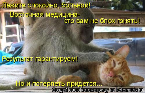 Лежите спокойно, больной! Восточная медицина- это вам не блох гонять! Результат гарантируем! Но и пот... Котоматрица: Лежите спокойно, больной! Восточная медицина- это вам не блох гонять! Результат гарантируем! Но и потерпеть придется...