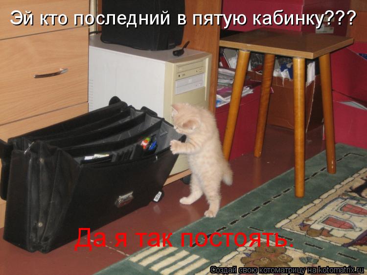 Эй кто последний в пятую кабинку??? Да я так постоять.... Котоматрица: Эй кто последний в пятую кабинку??? Да я так постоять.
