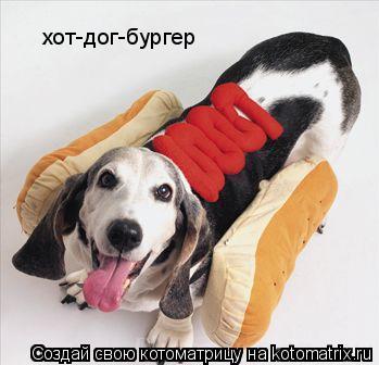 хот-дог-бургер... Котоматрица: хот-дог-бургер