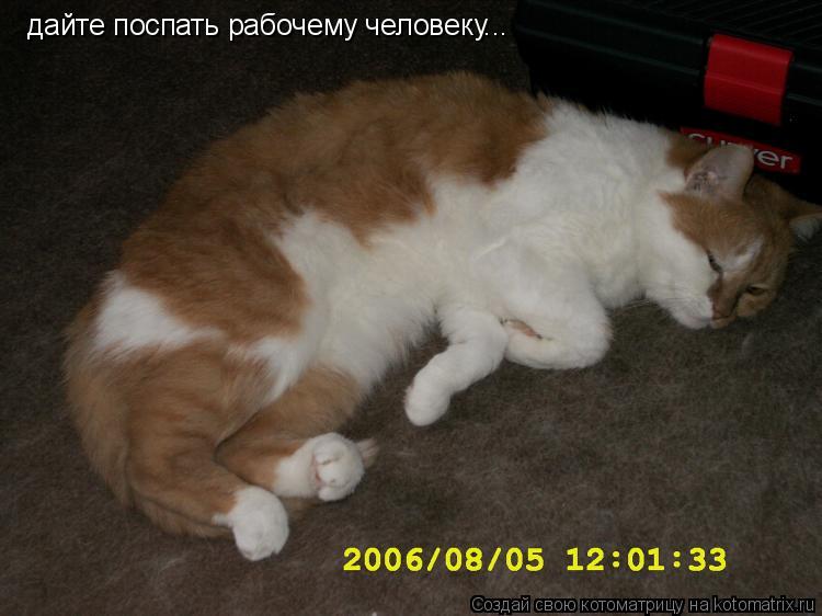 дайте поспать рабочему человеку...... Котоматрица: дайте поспать рабочему человеку...