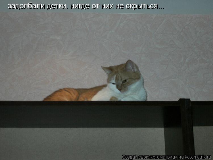 задолбали детки. нигде от них не скрыться...... Котоматрица: задолбали детки. нигде от них не скрыться...