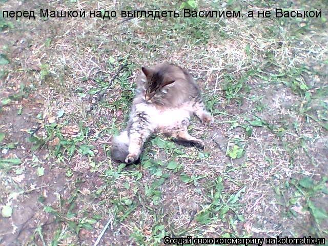 перед Машкой надо выглядеть Василием. а не Васькой... Котоматрица: перед Машкой надо выглядеть Василием. а не Васькой
