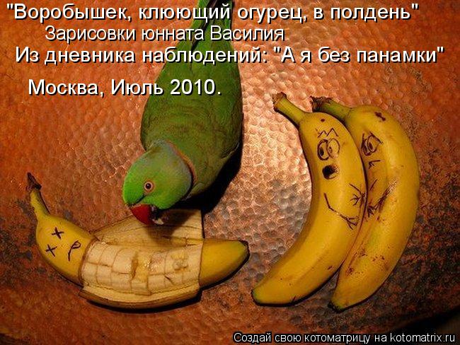 "Воробышек, клюющий огурец, в полдень" Москва, Июль 2010. Зарисовки юнната Василия Из дневника наблюд... Котоматрица: "Воробышек, клюющий огурец, в полдень" Москва, Июль 2010. Зарисовки юнната Василия Из дневника наблюдений: "А я без панамки"
