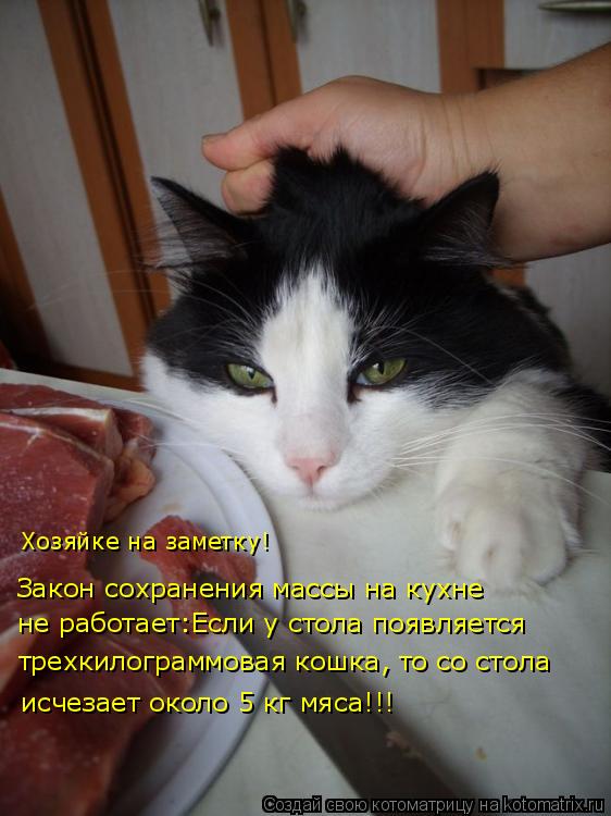 Котоматрица: Закон сохранения массы на кухне  не работает:Если у стола появляется  трехкилограммовая кошка, то со стола исчезает около 5 кг мяса!!! Хозяйк