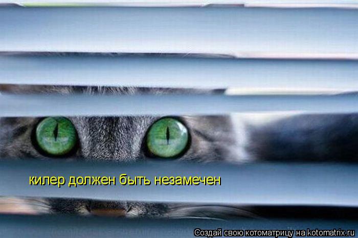 килер килер должен быть незамечен... Котоматрица: килер килер должен быть незамечен