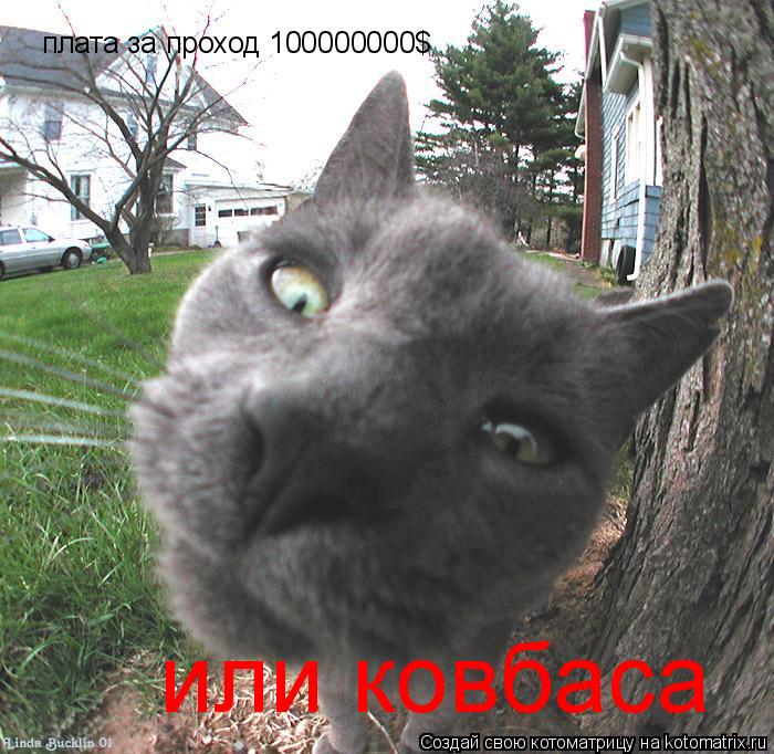 плата за проход 100000000$ или ковбаса... Котоматрица: плата за проход 100000000$ или ковбаса