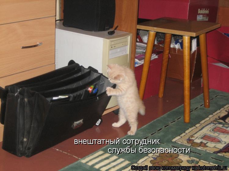 внештатный сотрудник службы безопасности... Котоматрица: внештатный сотрудник службы безопасности