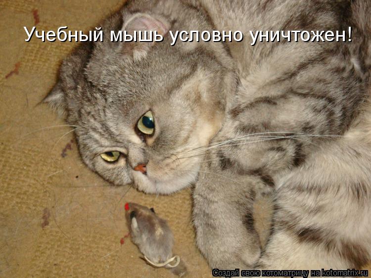 Учебный мышь условно уничтожен!