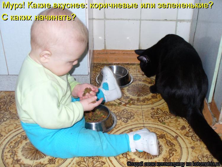 Мурз! Какие вкуснее: коричневые или зелененькие? С каких начинать?... Котоматрица: Мурз! Какие вкуснее: коричневые или зелененькие? С каких начинать?