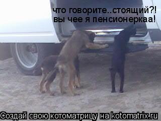что говорите..стоящий?! вы чее я пенсионеркаа!... Котоматрица: что говорите..стоящий?! вы чее я пенсионеркаа!