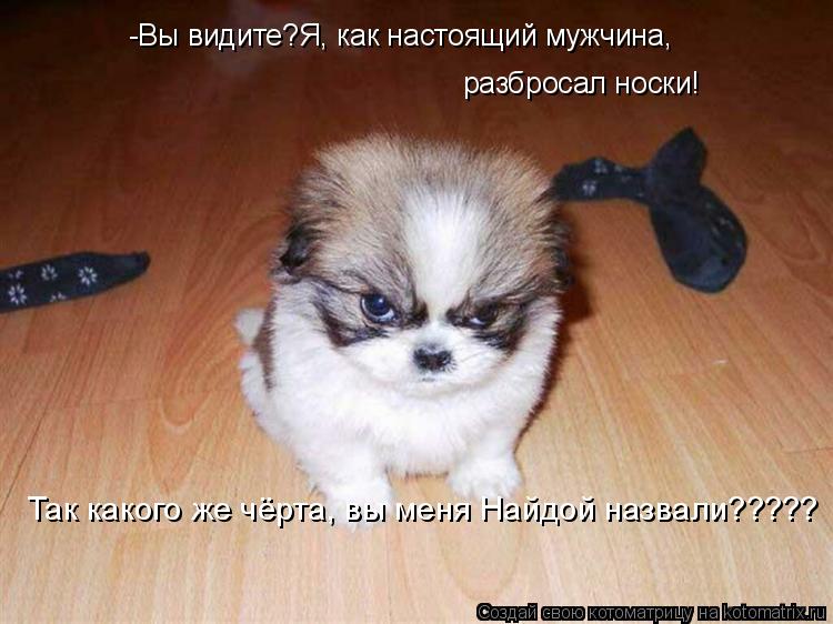 -Вы видите?Я, как настоящий мужчина, разбросал носки! Так какого же чёрта, вы меня Найдой назвали????... Котоматрица: -Вы видите?Я, как настоящий мужчина, разбросал носки! Так какого же чёрта, вы меня Найдой назвали?????