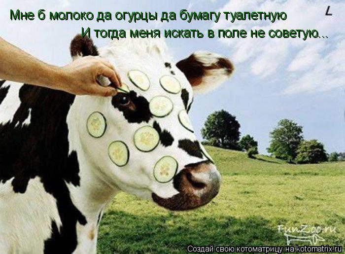 Мне б молоко да огурцы да бумагу туалетную И тогда меня искать в поле не советую...... Котоматрица: Мне б молоко да огурцы да бумагу туалетную И тогда меня искать в поле не советую...