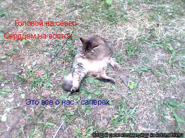 Головой на север Сердцем на восток Это все о нас - саперах... Котоматрица: Головой на север Сердцем на восток Это все о нас - саперах