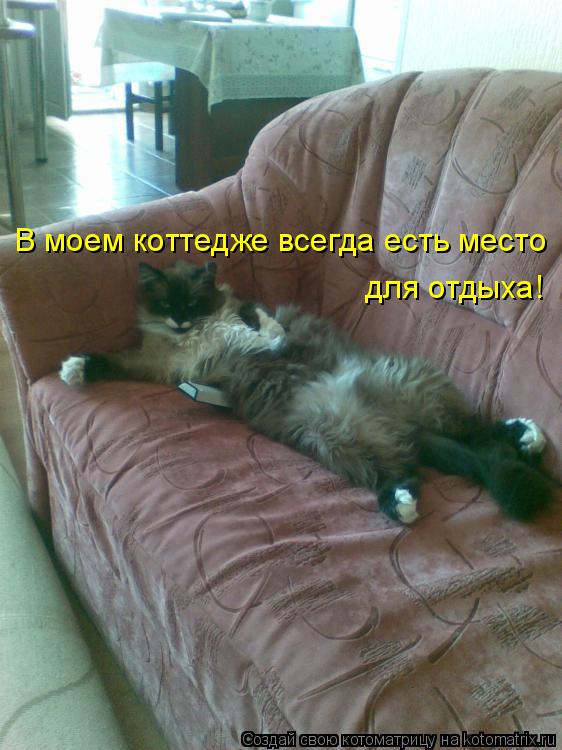 В моем коттедже всегда есть место для отдыха В моем коттедже всегда есть место для отдыха!... Котоматрица: В моем коттедже всегда есть место для отдыха В моем коттедже всегда есть место для отдыха!