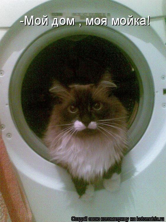 -Мой дом , моя мойка!... Котоматрица: -Мой дом , моя мойка!