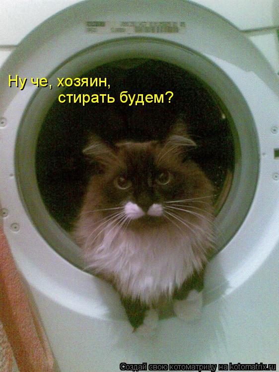 Ну че, хозяин, стирать будем?... Котоматрица: Ну че, хозяин, стирать будем?