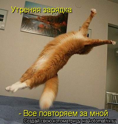 Утреняя зарядка - Все повторяем за мной... Котоматрица: Утреняя зарядка - Все повторяем за мной