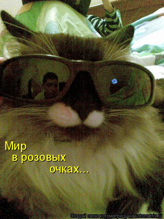 Мир в розовых очках...... Котоматрица: Мир в розовых очках...