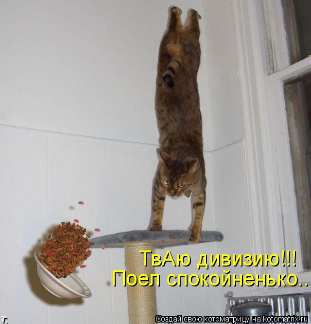 ТвАю дивизию!!! Поел спокойненько....... Котоматрица: ТвАю дивизию!!! Поел спокойненько....