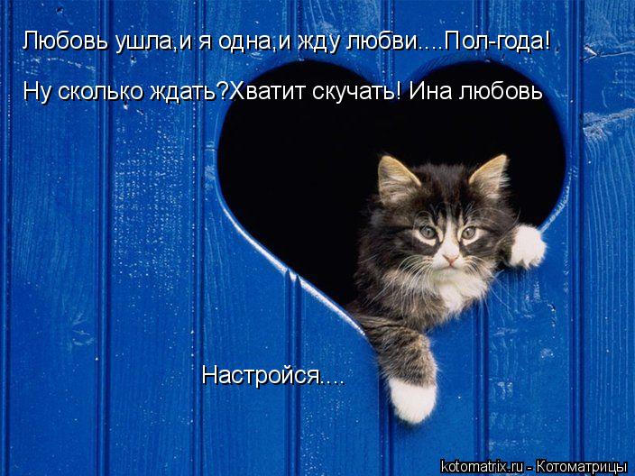 Любовь ушла,и я одна,и жду любви....Пол-года! Ну сколько ждать?Хватит скучать! Ина любовь Настройся.... Котоматрица: Любовь ушла,и я одна,и жду любви....Пол-года! Ну сколько ждать?Хватит скучать! Ина любовь Настройся....