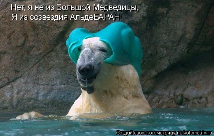 Нет, я не из Большой Медведицы, Я из созвездия АльдеБАРАН!... Котоматрица: Нет, я не из Большой Медведицы, Я из созвездия АльдеБАРАН!