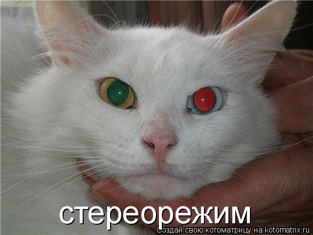 стереорежим... Котоматрица: стереорежим