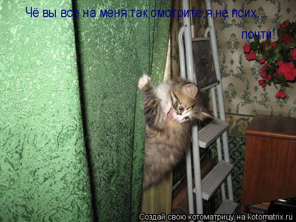 Чё вы все на меня так смотрите,я не псих... почти!... Котоматрица: Чё вы все на меня так смотрите,я не псих... почти!