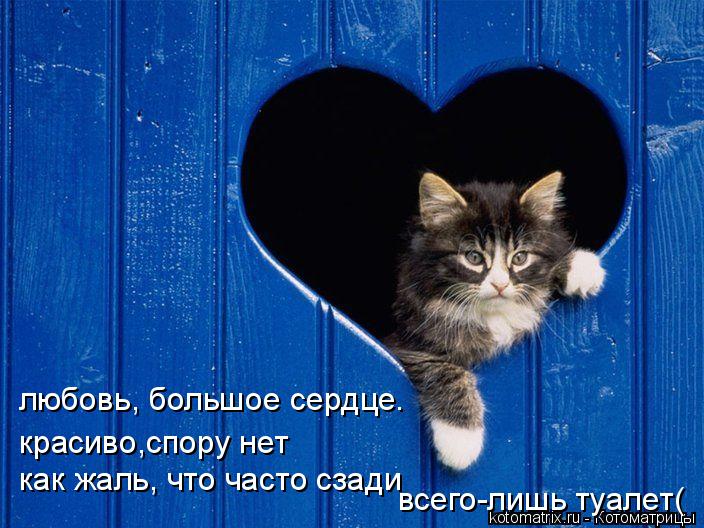 любовь, большое сердце. красиво,спору нет как жаль, что часто сзади всего-лишь туалет(... Котоматрица: любовь, большое сердце. красиво,спору нет как жаль, что часто сзади всего-лишь туалет(
