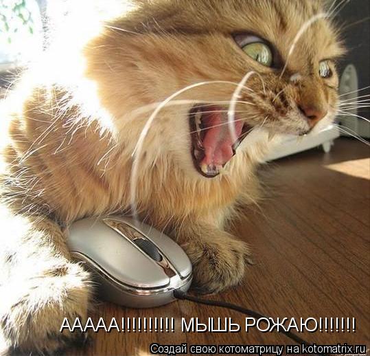 ААААА!!!!!!!!!! МЫШЬ РОЖАЮ!!!!!!!... Котоматрица: ААААА!!!!!!!!!! МЫШЬ РОЖАЮ!!!!!!!
