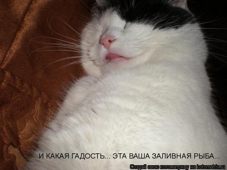И КАКАЯ ГАДОСТЬ... ЭТА ВАША ЗАЛИВНАЯ РЫБА...... Котоматрица: И КАКАЯ ГАДОСТЬ... ЭТА ВАША ЗАЛИВНАЯ РЫБА...