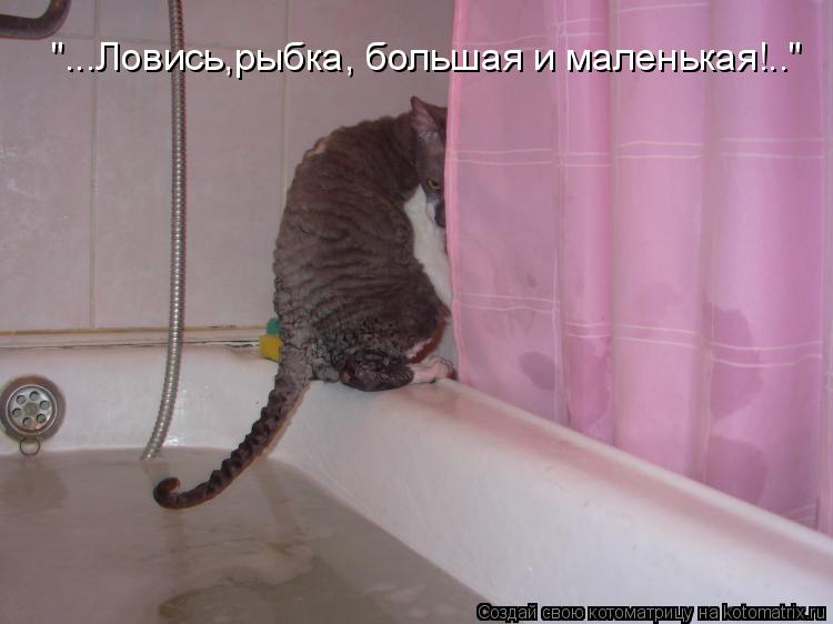 "...Ловись,рыбка, большая и маленькая!.."... Котоматрица: "...Ловись,рыбка, большая и маленькая!.."