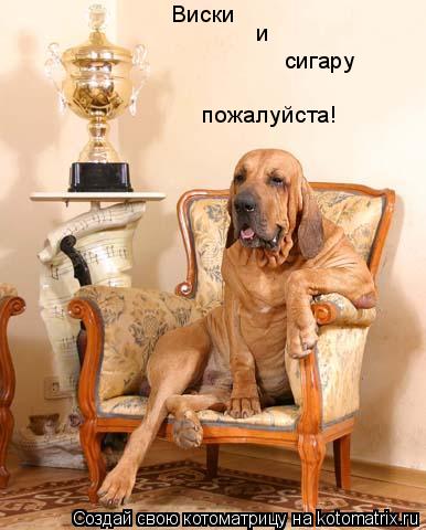 Виски и сигару пожалуйста!... Котоматрица: Виски и сигару пожалуйста!