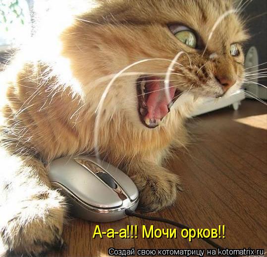 А-а-а!!! Мочи орков!!... Котоматрица: А-а-а!!! Мочи орков!!