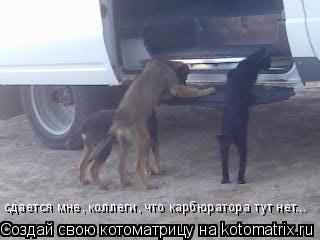 сдается мне, коллеги, что карбюратора тут нет...... Котоматрица: сдается мне, коллеги, что карбюратора тут нет...