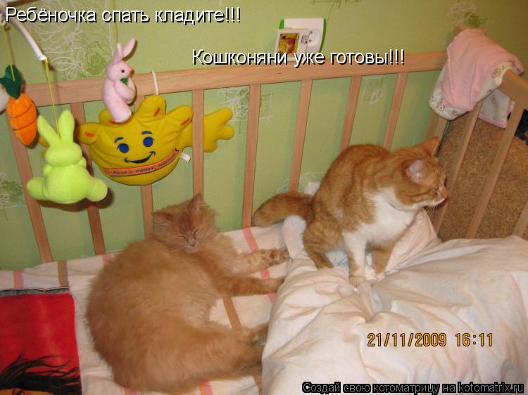 Ребёночка спать кладите!!! Кошконяни уже готовы!!!... Котоматрица: Ребёночка спать кладите!!! Кошконяни уже готовы!!!