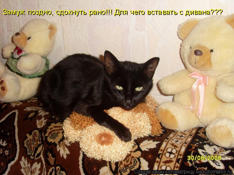 Замуж поздно, сдохнуть рано!!! Для чего вставать с дивана???... Котоматрица: Замуж поздно, сдохнуть рано!!! Для чего вставать с дивана???