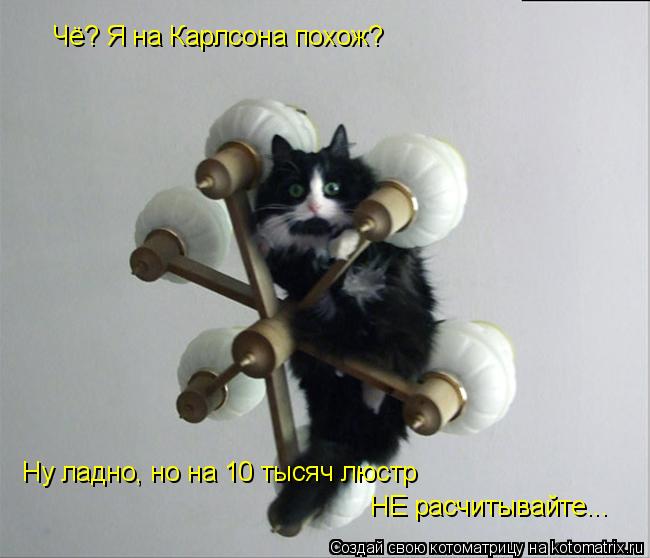 Чё? Я на Карлсона похож? Ну ладно, но на 10 тысяч люстр НЕ расчитывайте...... Котоматрица: Чё? Я на Карлсона похож? Ну ладно, но на 10 тысяч люстр НЕ расчитывайте...
