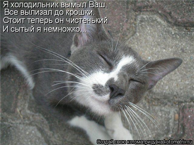 Я холодильник вымыл Ваш, Все вылизал до крошки. Стоит теперь он чистенький И сытый я немножко...... Котоматрица: Я холодильник вымыл Ваш, Все вылизал до крошки. Стоит теперь он чистенький И сытый я немножко...